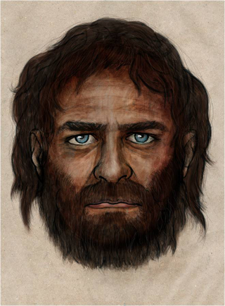 Illustration for article titled